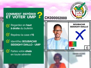 L'alliance UMP-GMD rougit à Conakry : démonstration de force et mobilisation maximale 11 Comment voté UMP ?