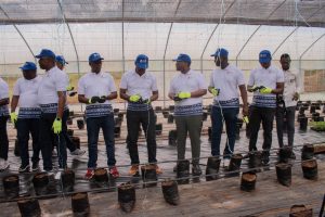 Des cadres d'AFG Bank & Saboutech en compagnie des agriculteurs de Fotoba