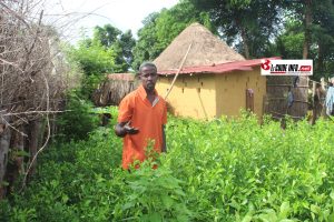 Abdoulaye Bah, Pépiniériste et agriculteur