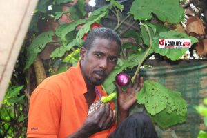 Abdoulaye Bah, Pépiniériste et agriculteur