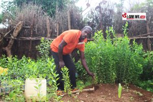 Abdoulaye Bah, Pépiniériste et agriculteur