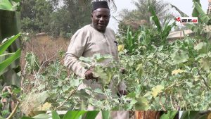 À Boké, un agriculteur pas comme les autres : Yaya Sakho cherche des investisseurs sérieux 2 Elhadj Yaya Sakho