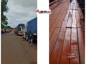 Boké-Gaoual : sur la route nationale, un pont hors d'usage paralyse tout un axe économique 2 Pont métalique de Kampama Thiagui