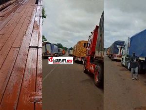 Boké-Gaoual : sur la route nationale, un pont hors d'usage paralyse tout un axe économique 1 Poont de Kampama Thiagui