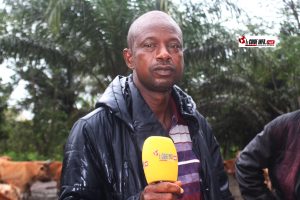 « On n'a plus où aller » : les éleveurs de Boké confient leur détresse à un député venu de leur monde 6 Ibrahima Diop, éleveur