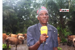 « On n'a plus où aller » : les éleveurs de Boké confient leur détresse à un député venu de leur monde 4 Idrissa Bah, président de la fédération régionale de la filière bétails viande de Boké