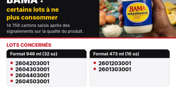 Alerte-Santé mayonnaise bama